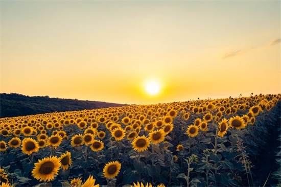 俏皮可爱的七夕祝福语