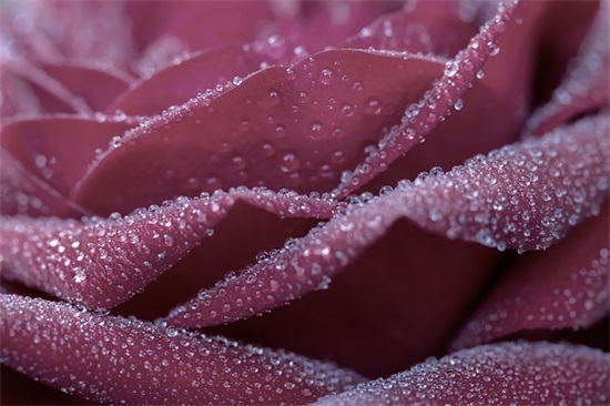 写给老师的生日祝福语散文