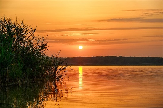 2026植树节短信祝福语