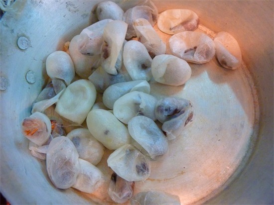 习惯孤独的简短句子