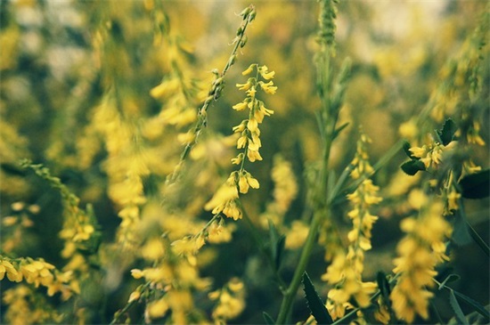 形容落魄的诗,关于人落魄看清人的句子,人到落魄的时候的句子