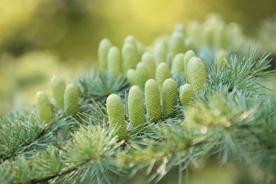 比较有内涵的句子