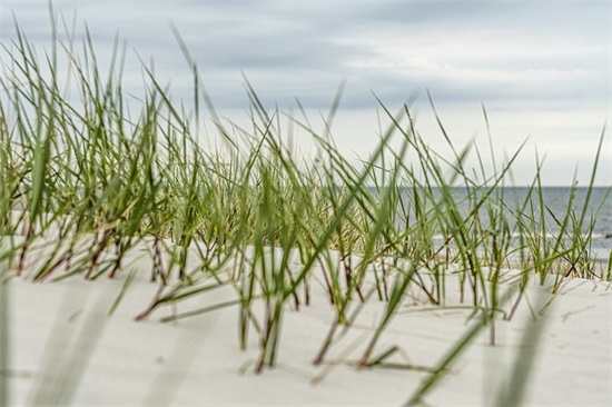 古代爱情的感悟句子