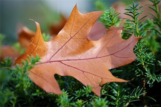 十月你好的正能量句子