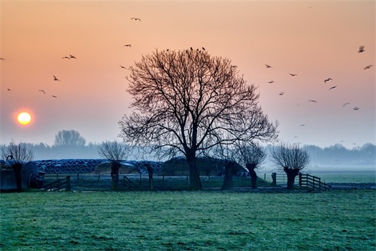 通用文艺优美句子