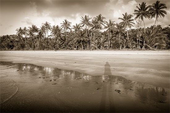 发现美的句子44句