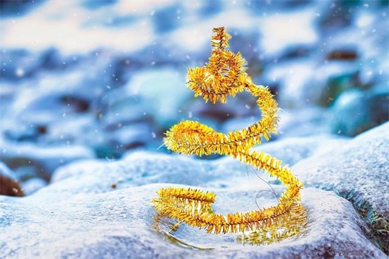 38妇女节祝福语大全 妇女节祝福语简短精选