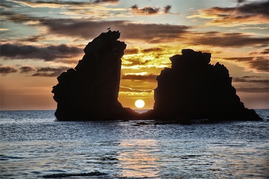 一杯早茶心语一句话(清晨的一杯早茶好心情句子)