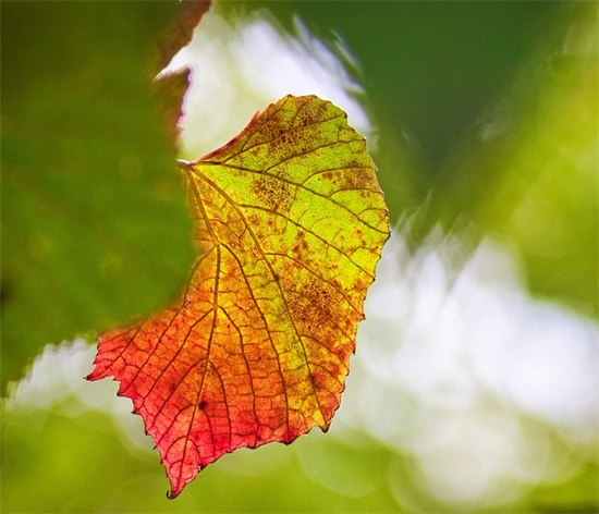 哄女朋友开心的话道歉的句子收集