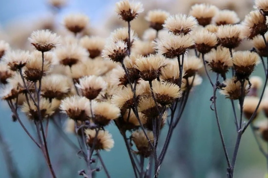 安妮宝贝的句子