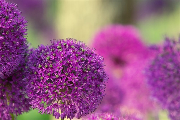 描写夜雨的诗句92句