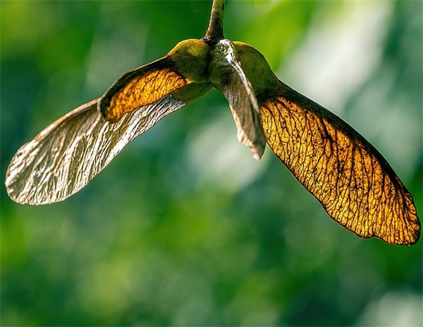 适合抗疫精神的诗句 出行防疫政策查询