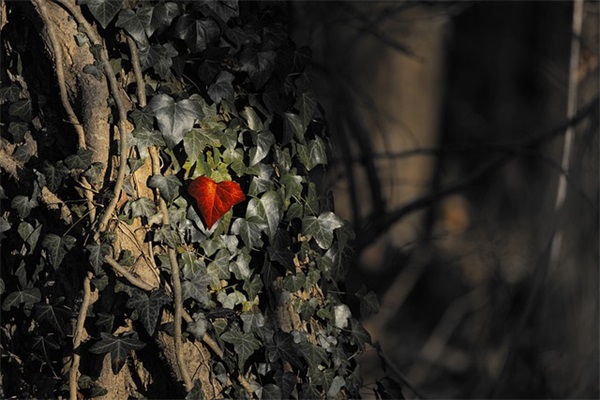 古代诗人爱国的诗句66句