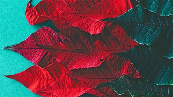 对孩子浓浓的爱的诗 表达对孩子的爱的诗句