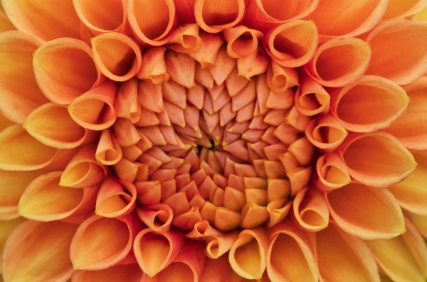 形容伤感心痛的古诗句