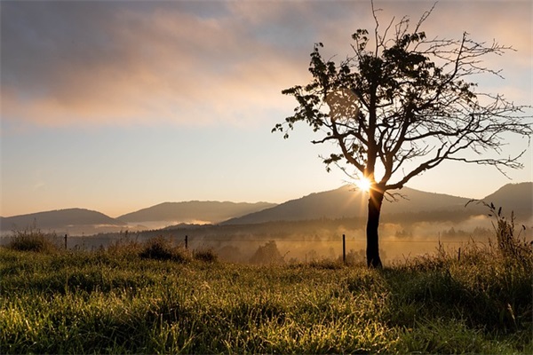 有关表现爱国主义的诗句65句