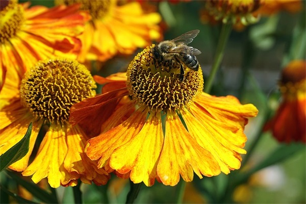 热爱祖国江山的诗句61句