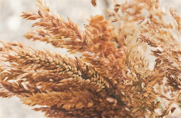 描写自然风光的诗句