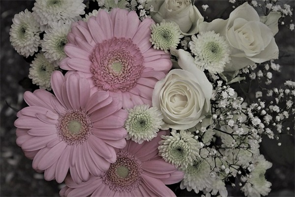 古代描写莲花的诗句