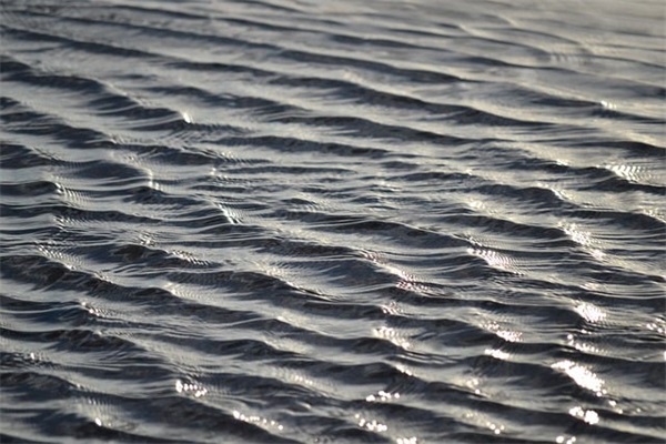 爱情用的诗句81句