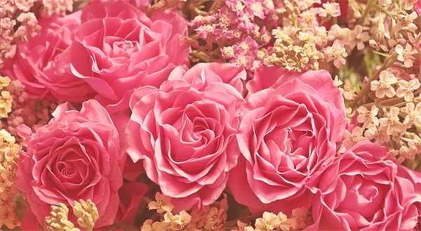 表达人间真情的诗句79句