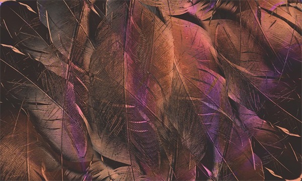 努力学习的诗句69句