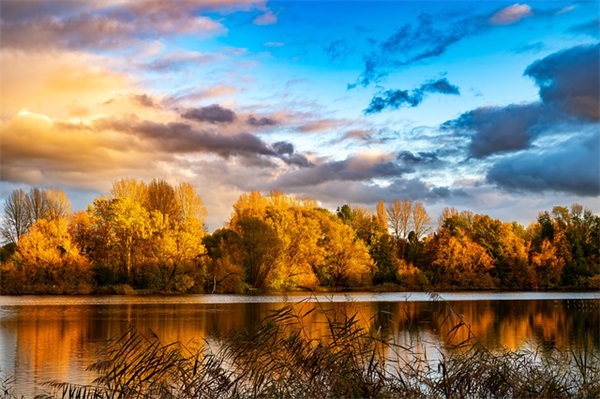 关于战争的诗句古诗64句