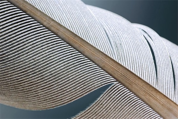 描写黑夜的诗句52句