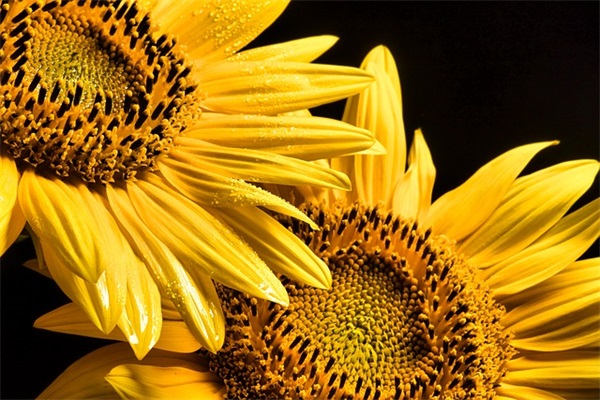 2025年微信签名超拽113句