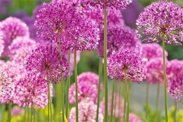 qq性签名笑话91句