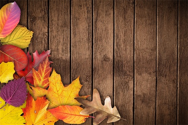 80后女生qq性签名122句