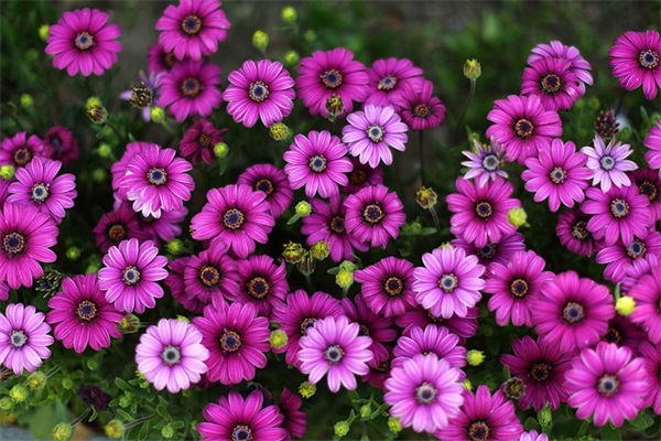 2025年流行性签名100句