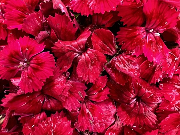 qq性签名情侣唯美83句