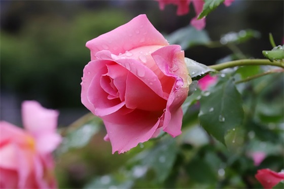 夜晚洗头有什么禁忌