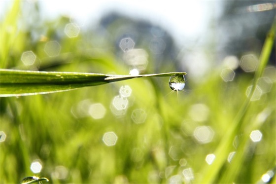 请假申请书格式