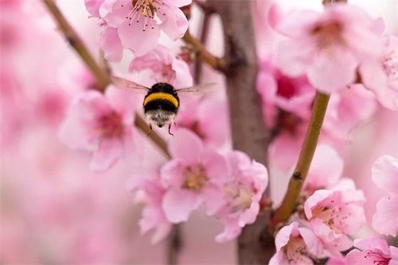 小学教师教学工作总结范文