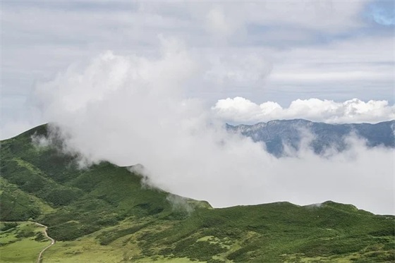 律师法庭辩论的技巧