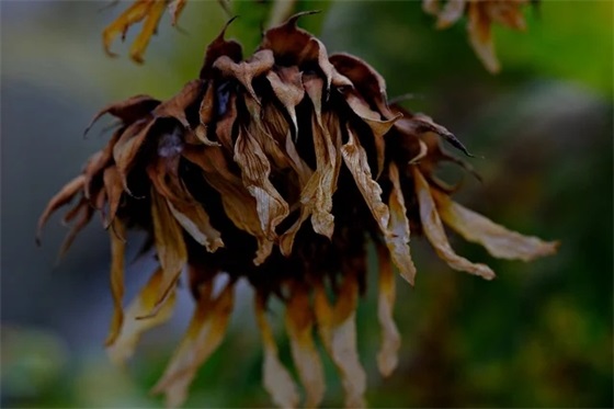 运动会广播稿100字（精选23篇）