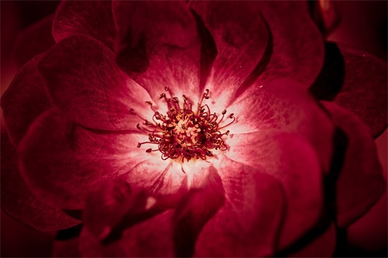 生态环保英文标语（通用120句）