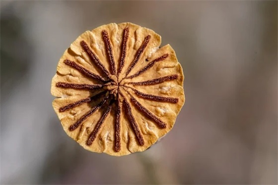 学员代表发言稿范文3篇