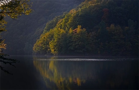 巴金优秀散文精选