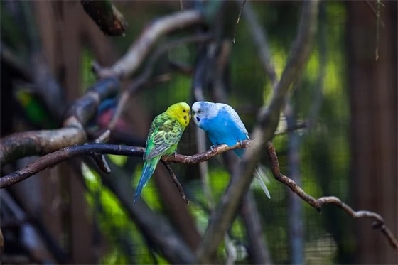 《榜样6》观后感15篇