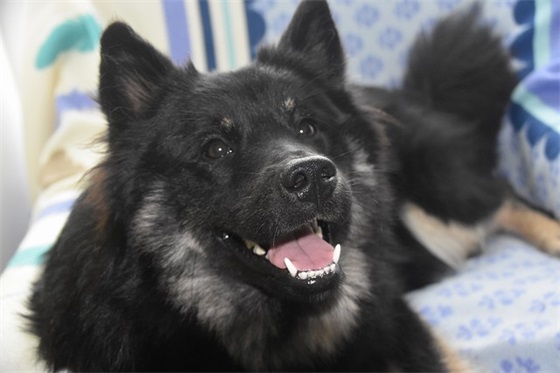 暗示吃醋的性签名83句