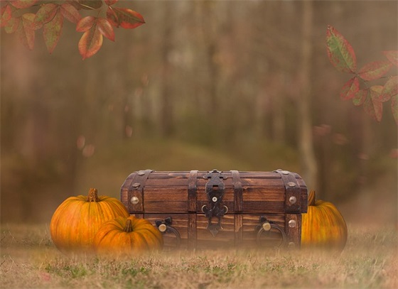 逗比女生个性签名 妙趣横生