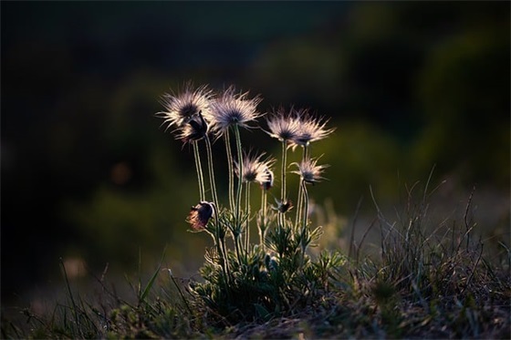 qq情侣幸福性签名82句