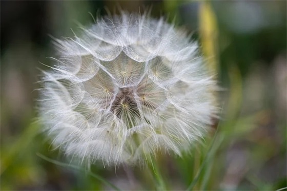 大学生励志签名81句