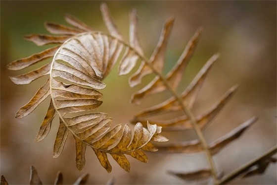 短句子悲伤 短句子签名悲伤8字