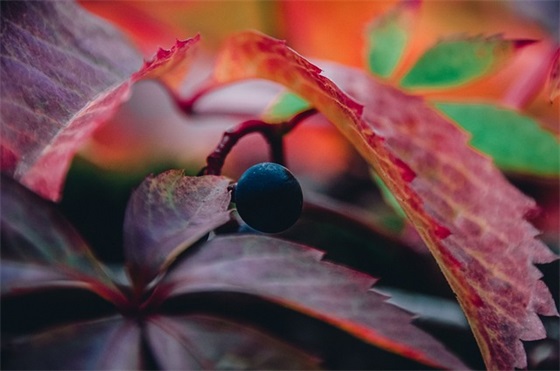 2025微商朋友圈励志个性签名