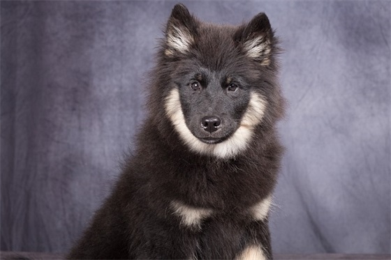 幽默独特的个性签名 逗比搞笑的个性微信签名