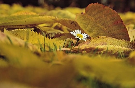 qq性签名女生寂寞96句